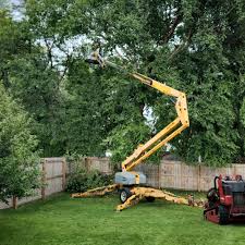 Best Lawn Disease Treatment  in Camden, TN